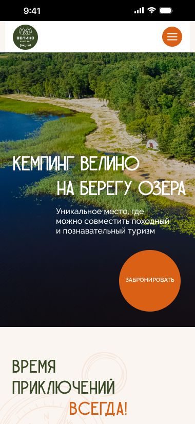 Портфолио
