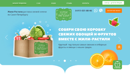 Портфолио