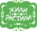 Портфолио