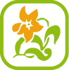 Портфолио