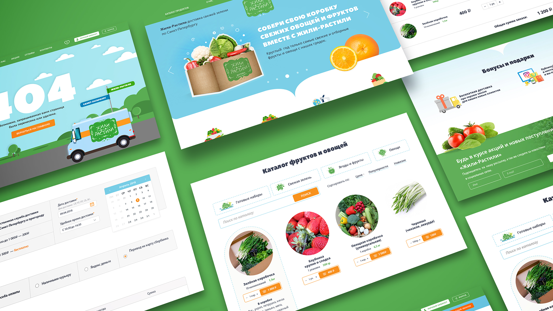 Портфолио